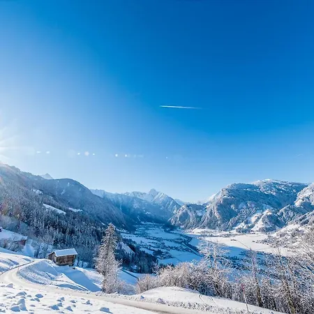 Konukevi Hotel-garni Almhof Mayrhofen